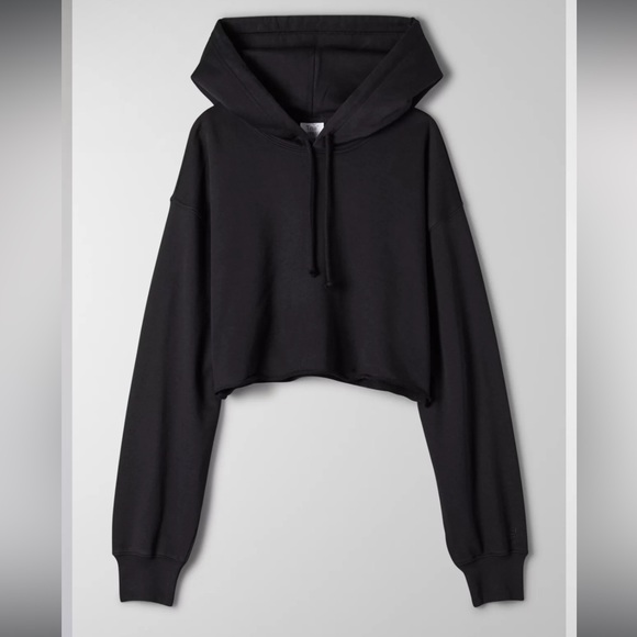 TNA boyfriend Cropped Hoodie from Aritzia - Picture 3 of 7